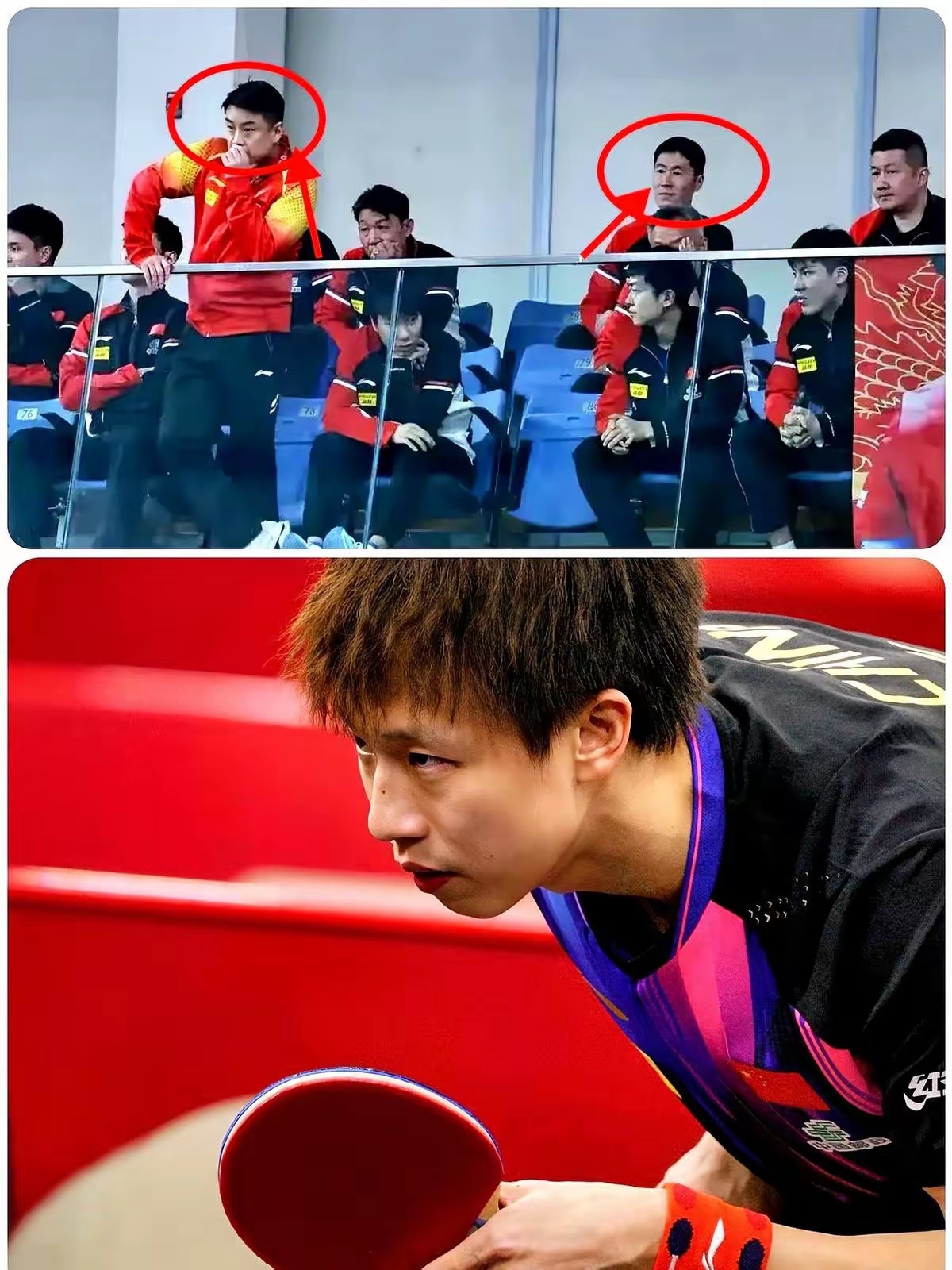 包含波兰乒乓球队翻盘法国乒乓球队，王皓完成帽子戏法的词条