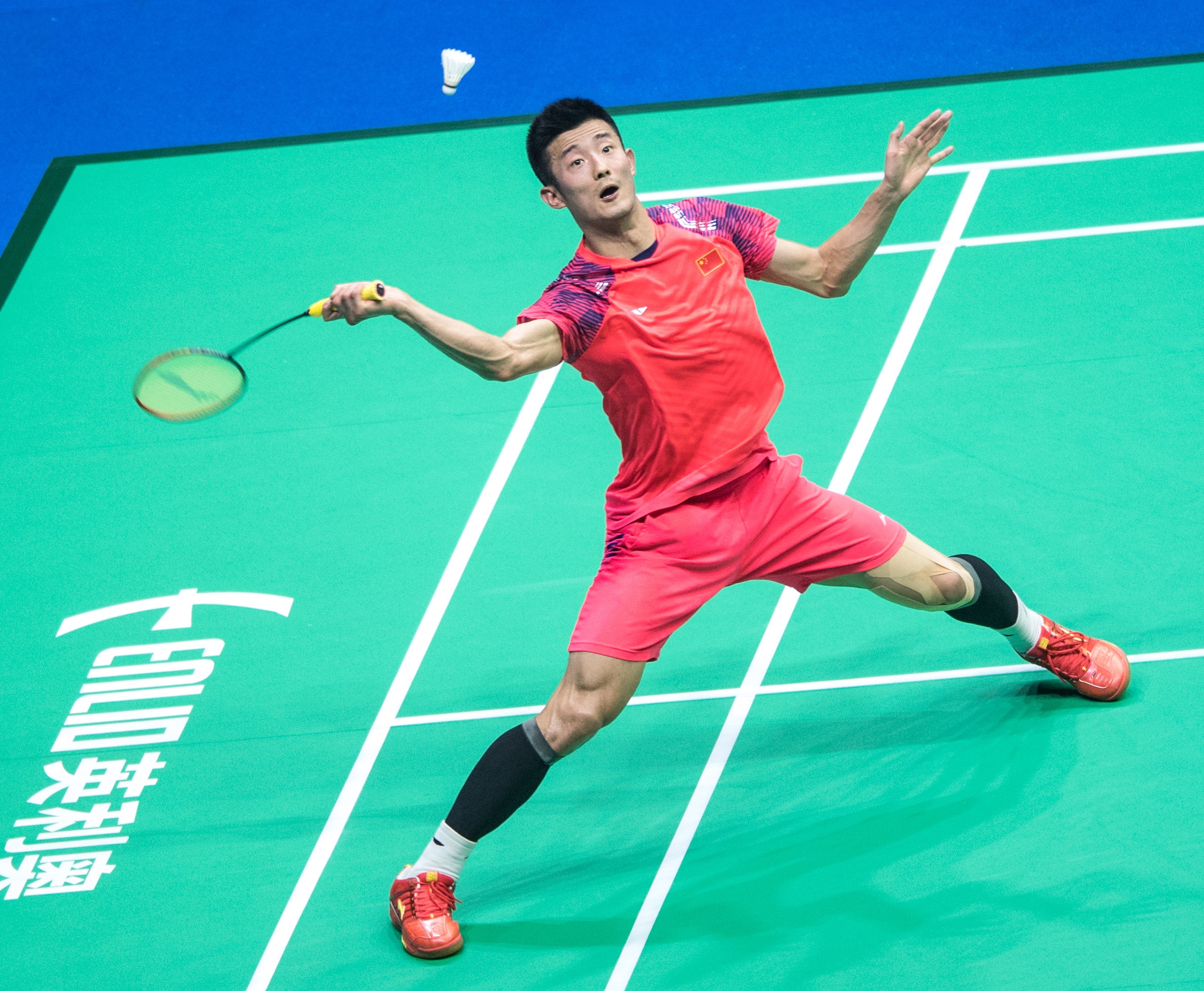 日本羽毛球队逆转丹麦羽毛球队，谌龙绝境逆转的简单介绍