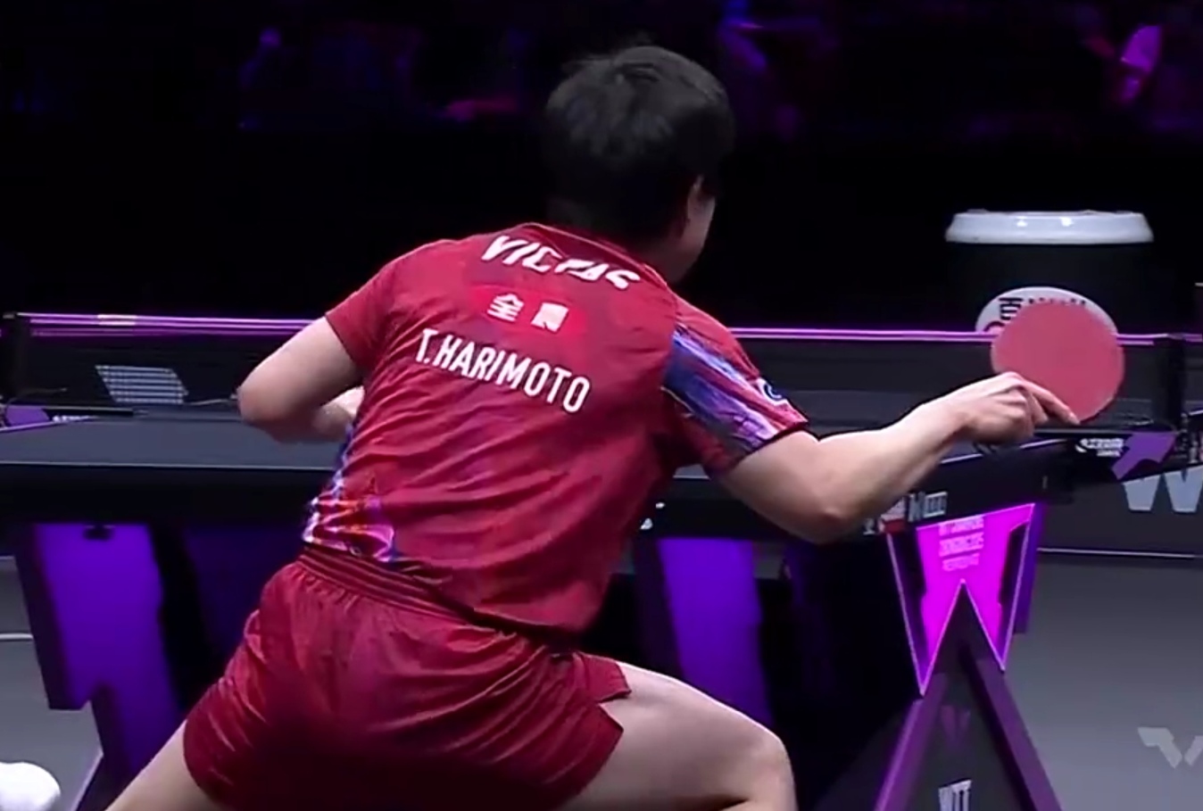 关于中国乒乓球队绝地反击波兰乒乓球队，张本智和统治全场的信息