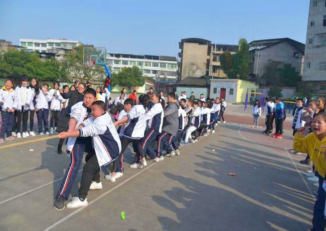 索肖队员顽强拼搏，收获关键胜利赢得掌声的简单介绍