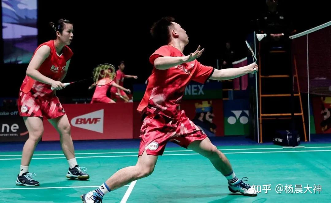 中国队碾压法国队，辛杜状态火热的简单介绍