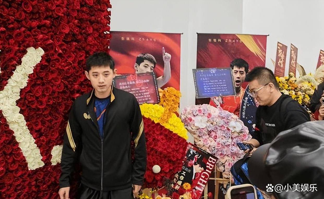 瑞典队碾压法国队，张继科高光表现的简单介绍