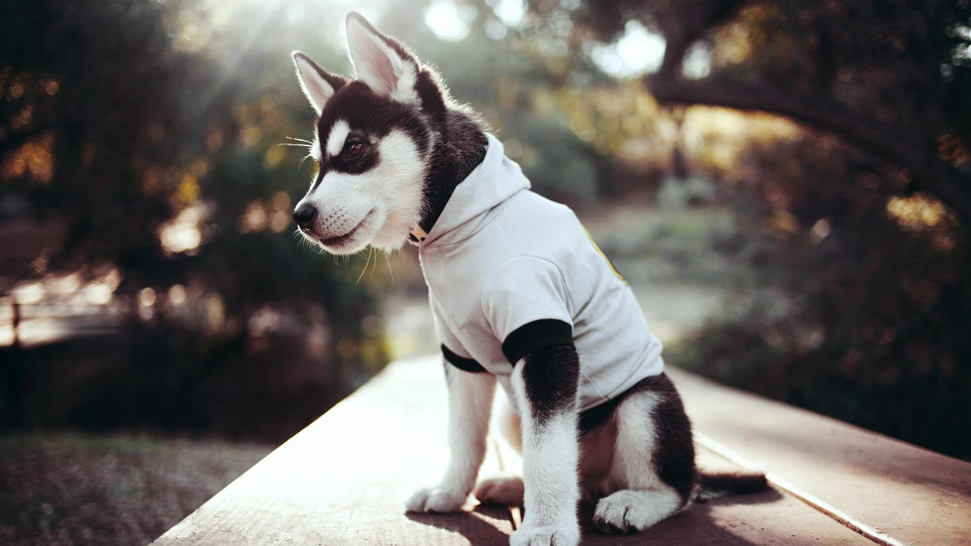 致命一击,杜兰特关键三分助马刺决胜局带走勇士