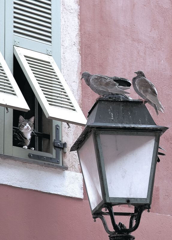 布克狂轰42分率队突围,篮网关键战险胜奇才锁定季后赛希望